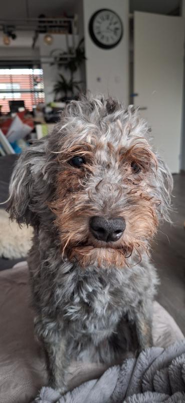Coco