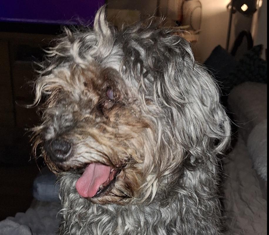 Coco