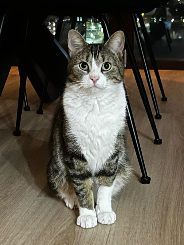 Leo