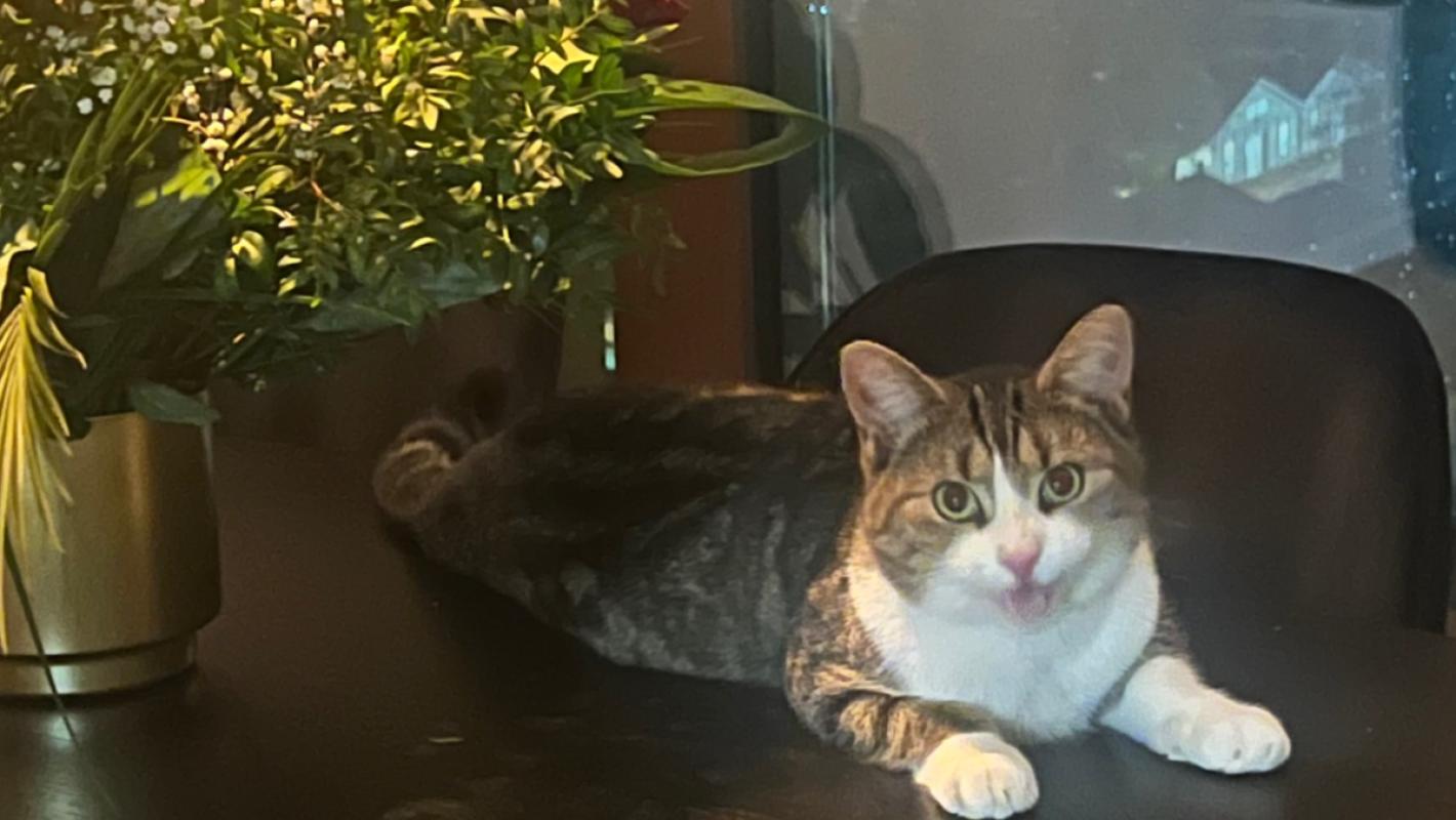 Leo