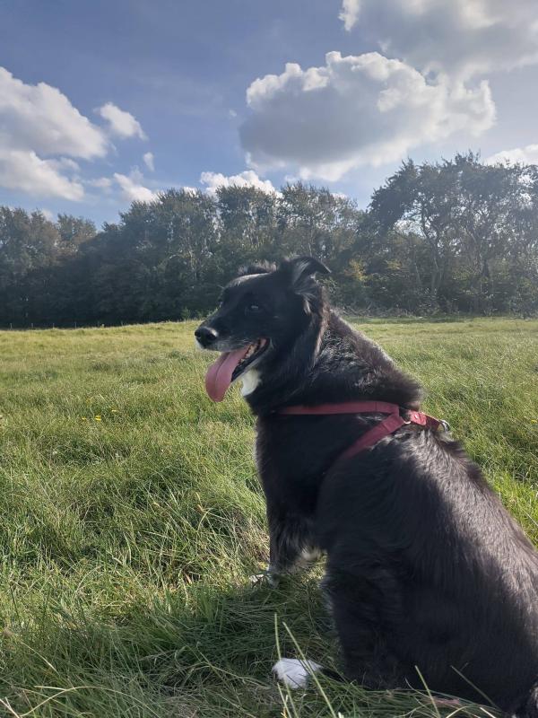 Bella