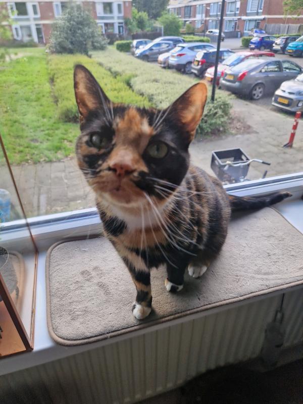 Freya