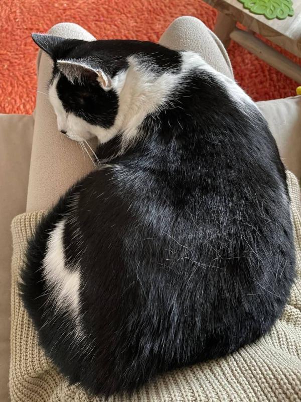 Floortje