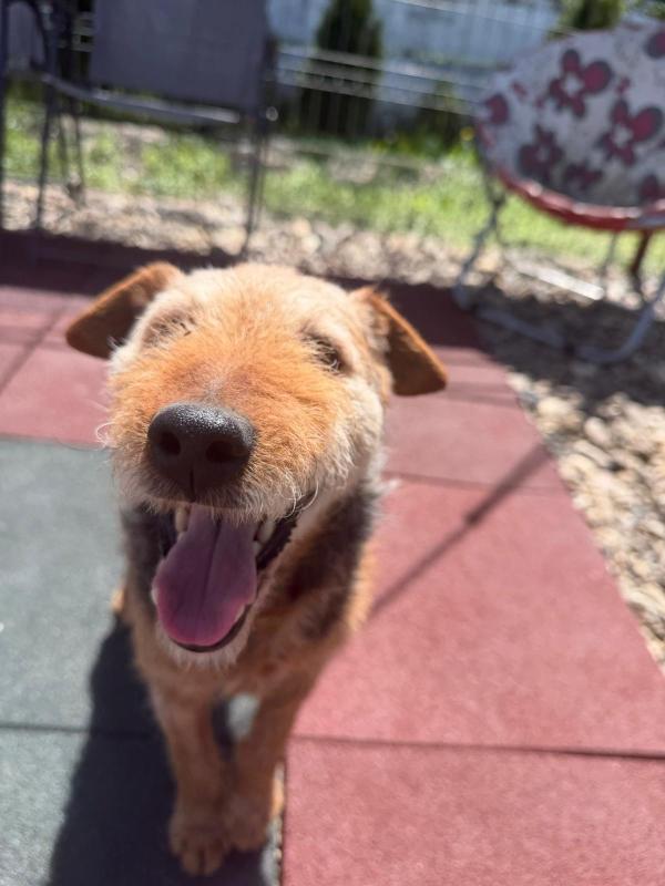 Ted