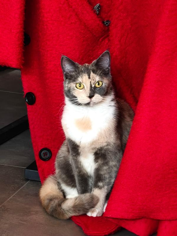 Zoë