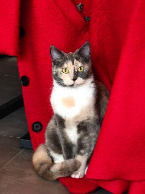 Zoë