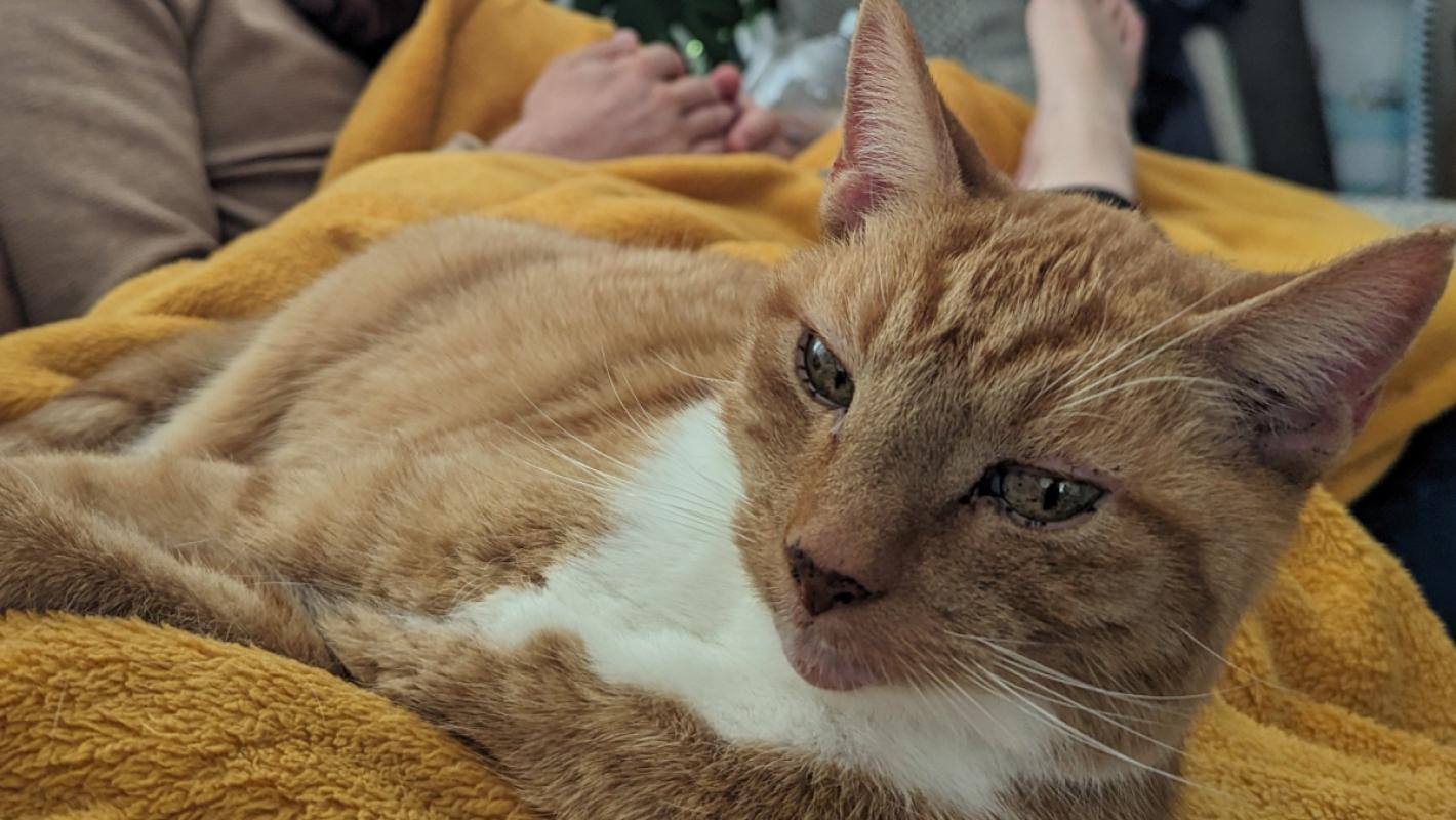 Chester