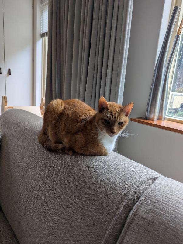 Chester