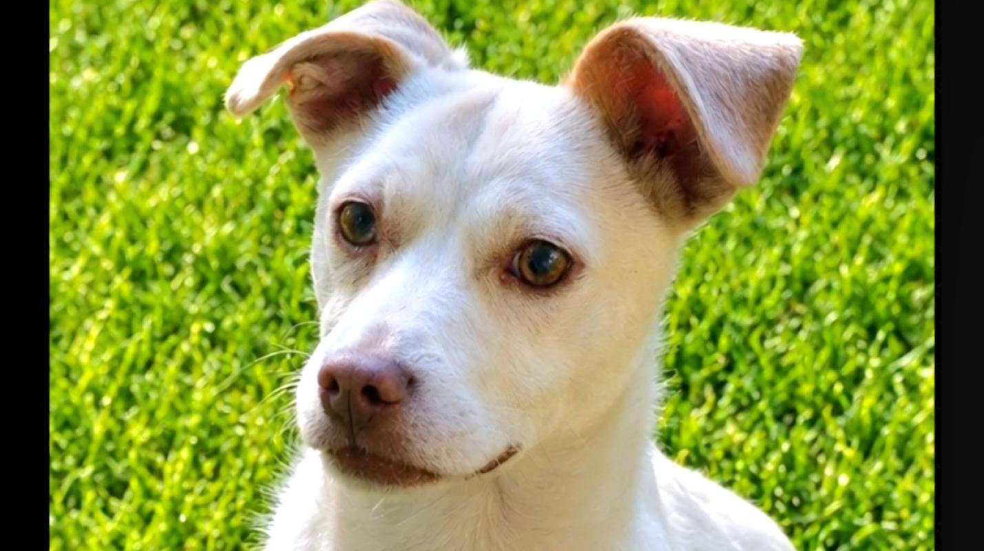 Casper