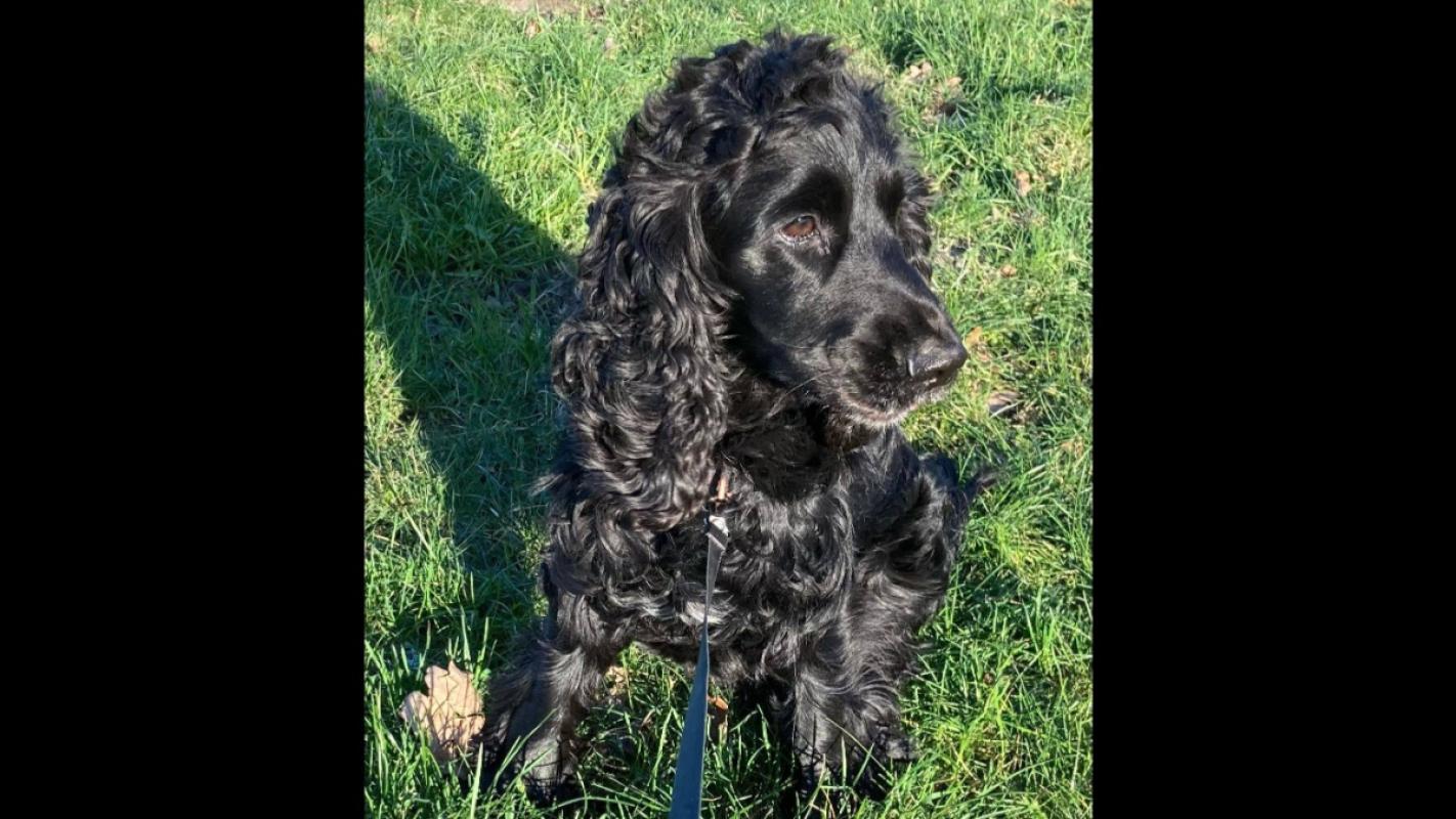 Max