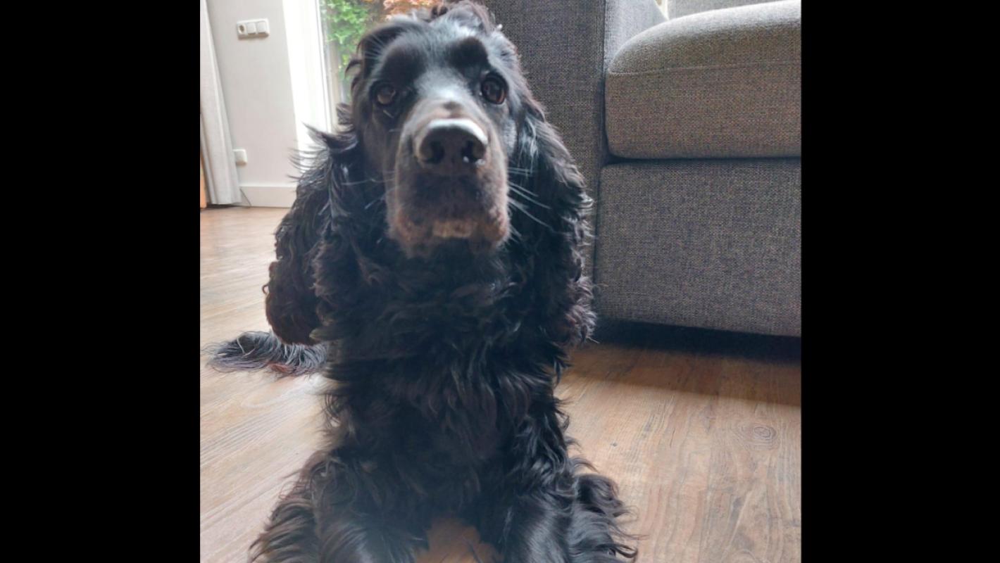 Max