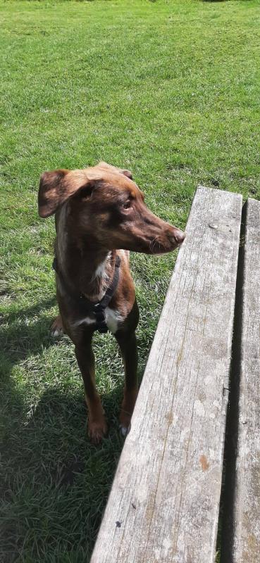 Lilly