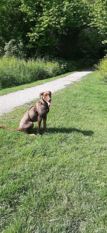 Lilly