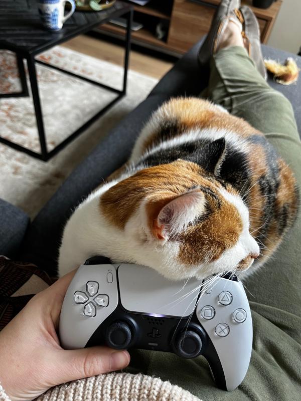 Zoë