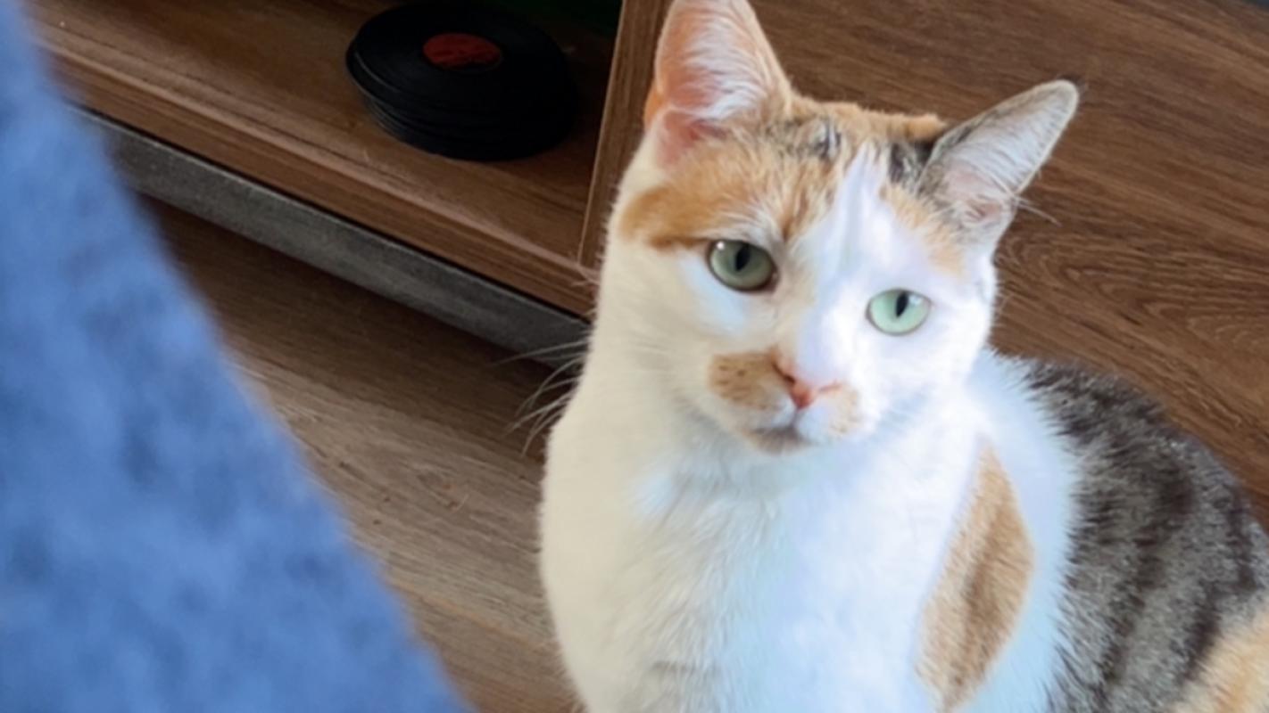 Zoë