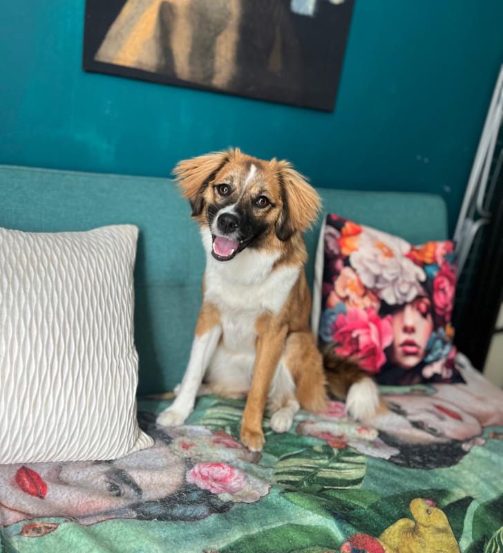 Luna