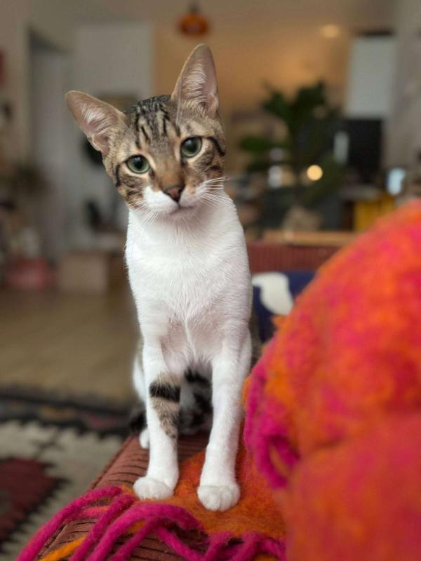 Walter