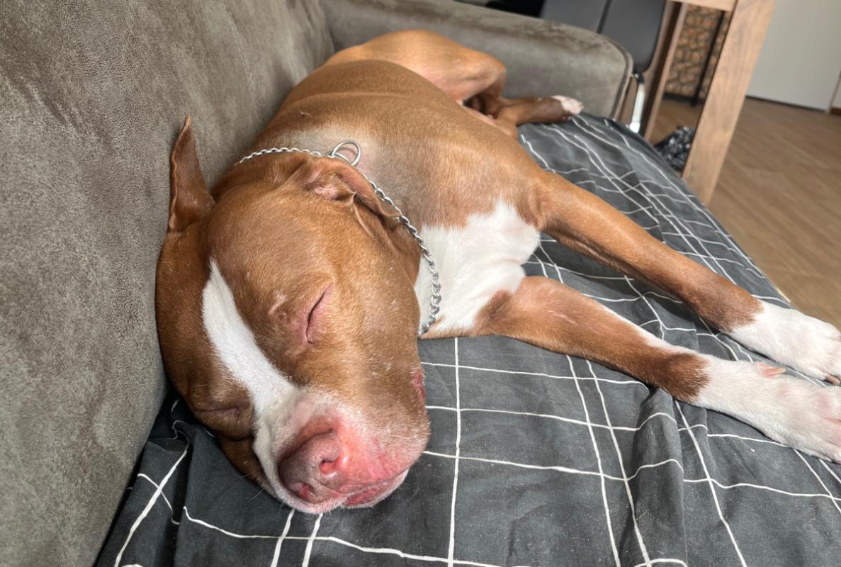 Tyson