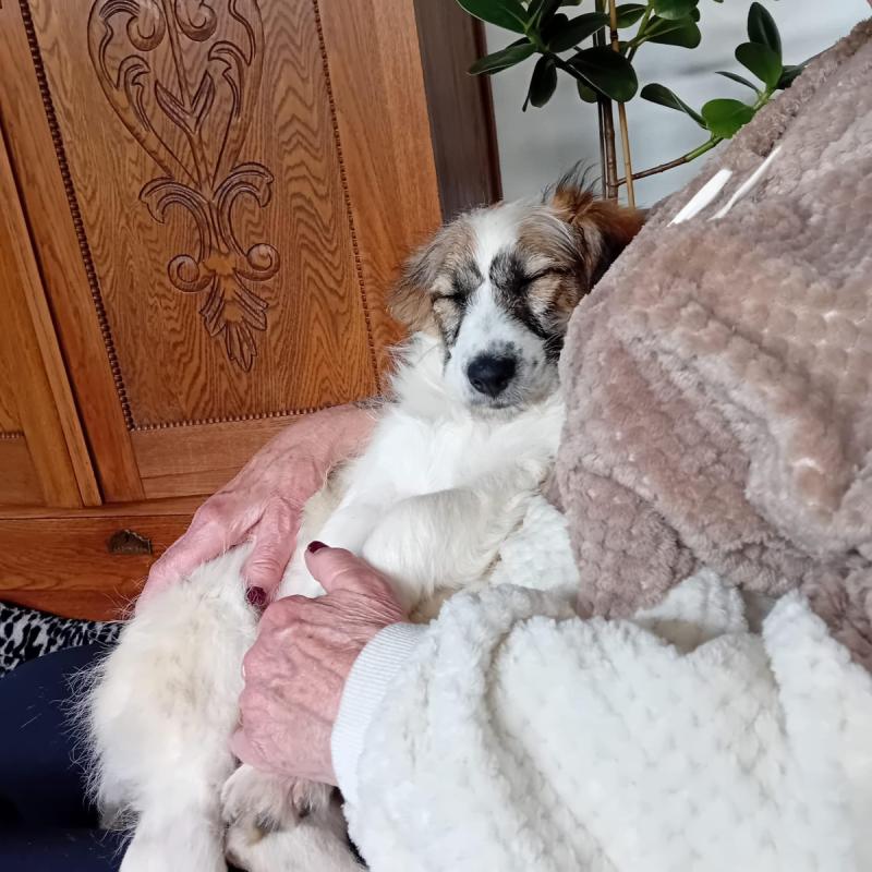 Bennie