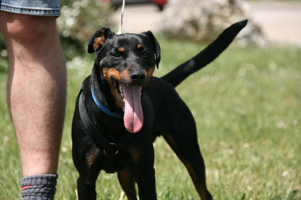Otis