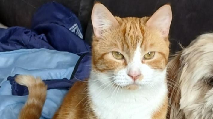 Max
