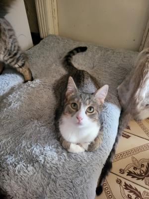 Sophie