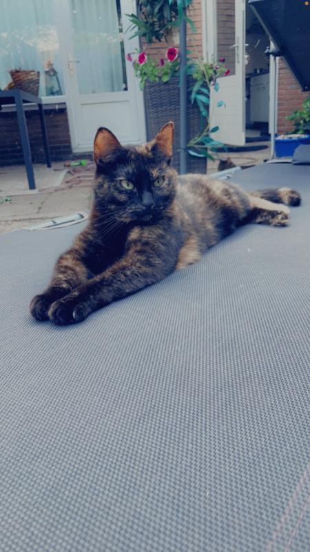 Milka