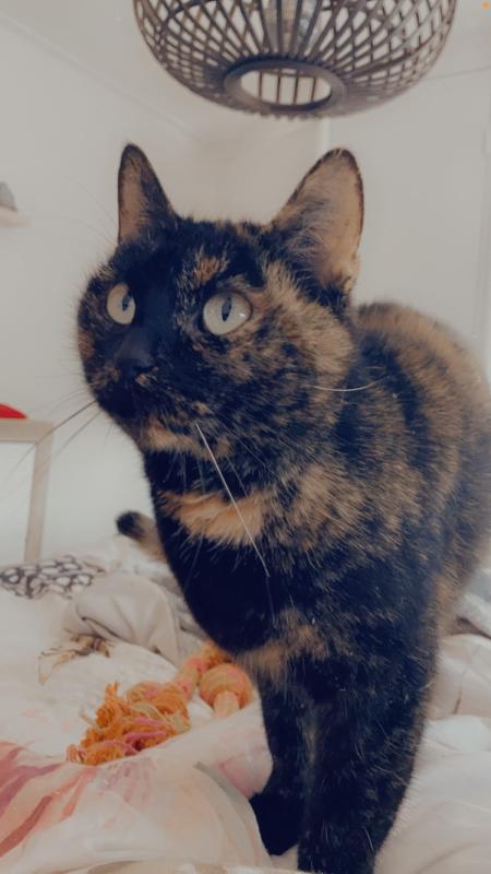 Milka