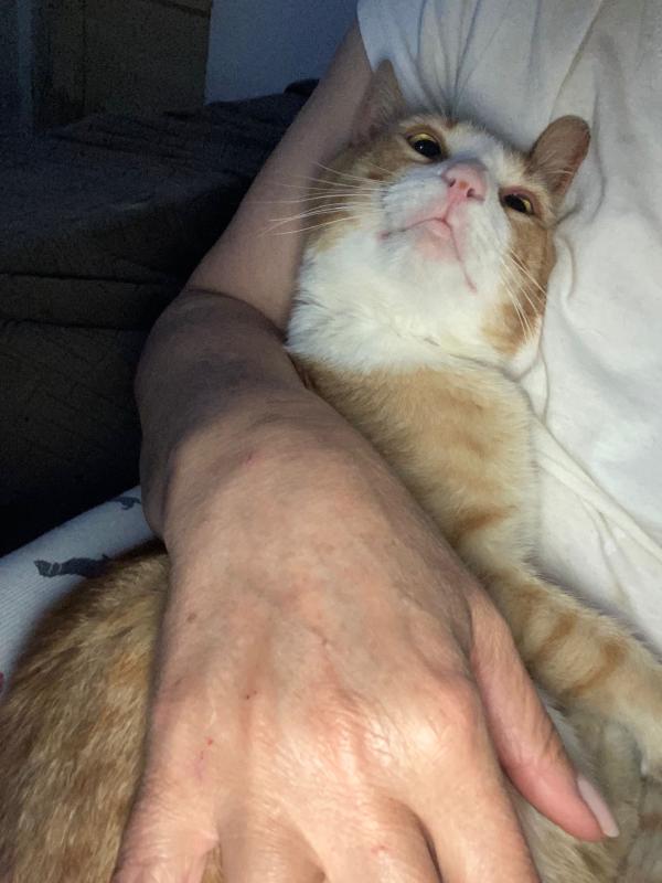 Zuzu