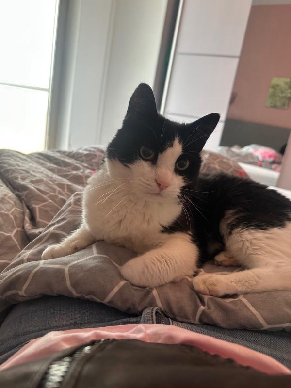 Izzy