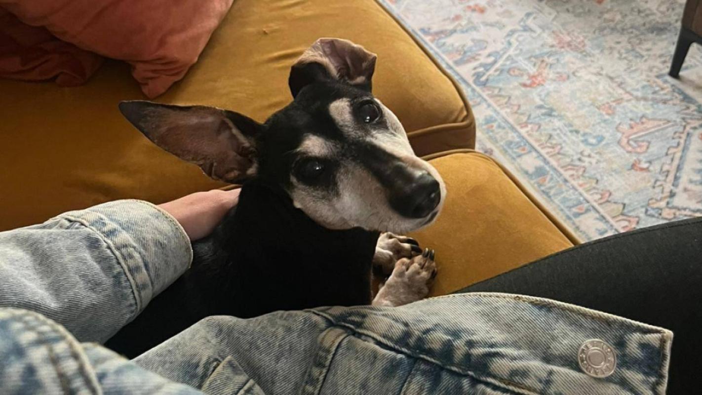 Woody