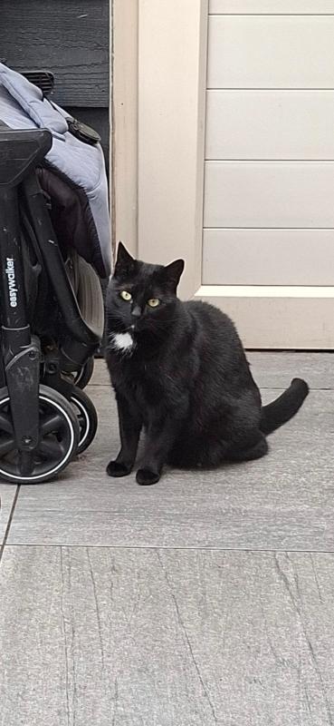 Mimi