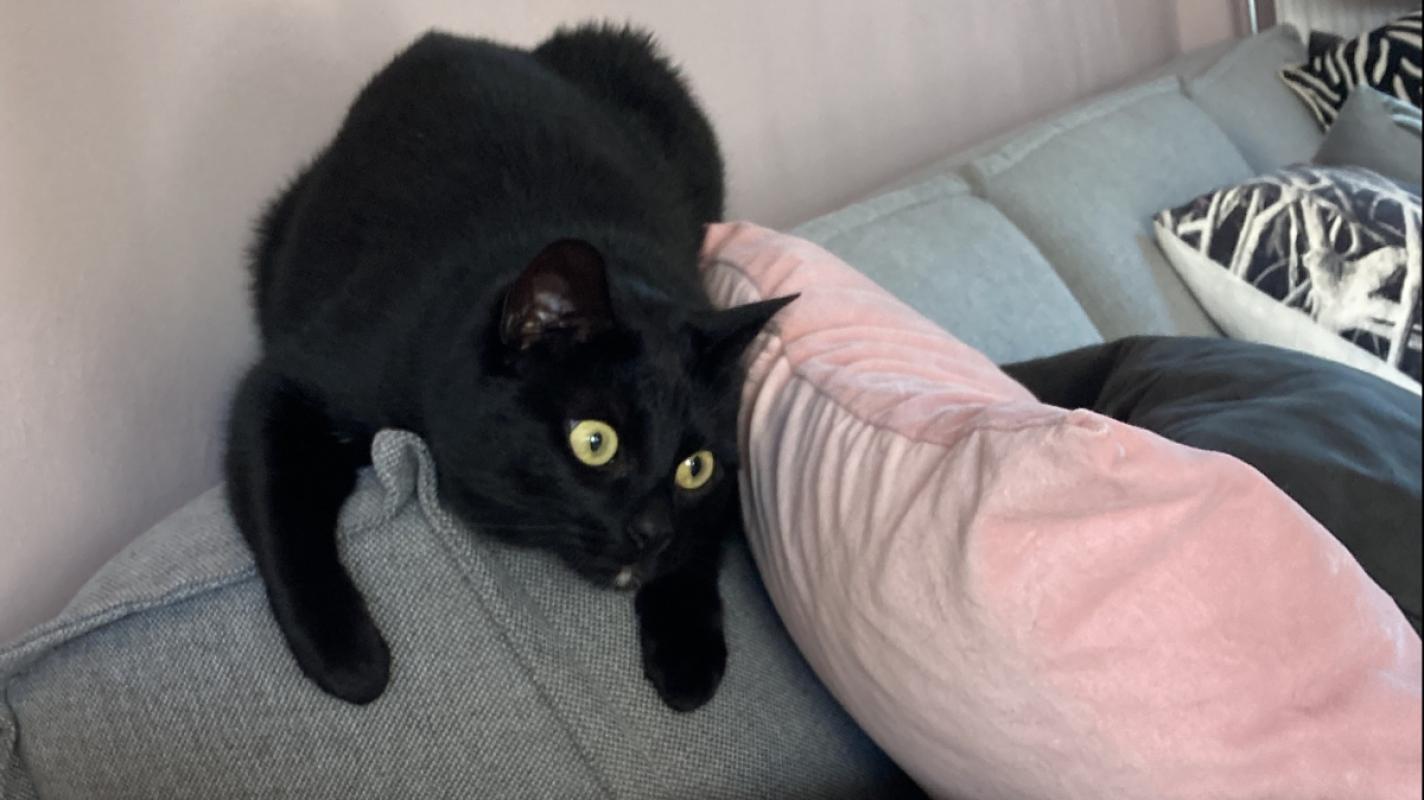 Mimi