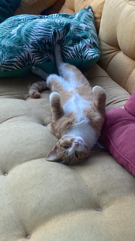 Tom