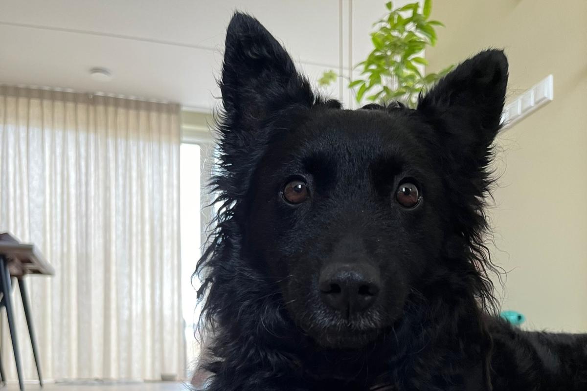 Maddy