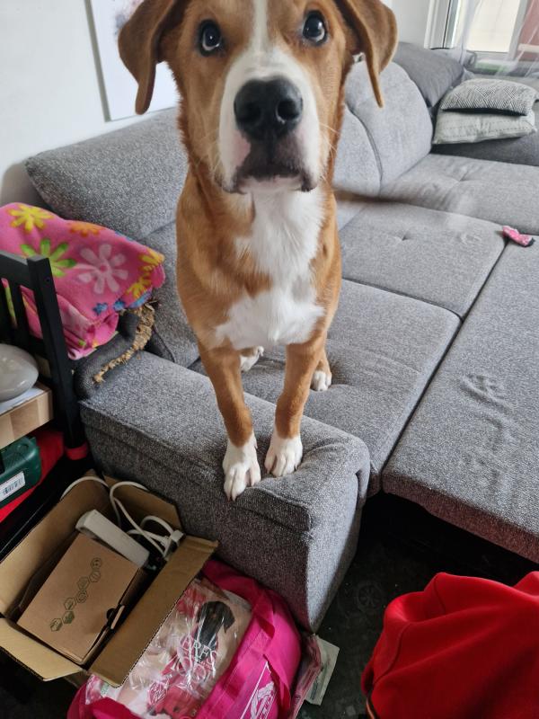 Atlas