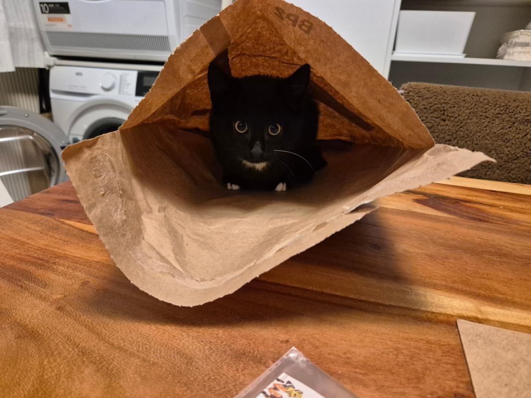 Max