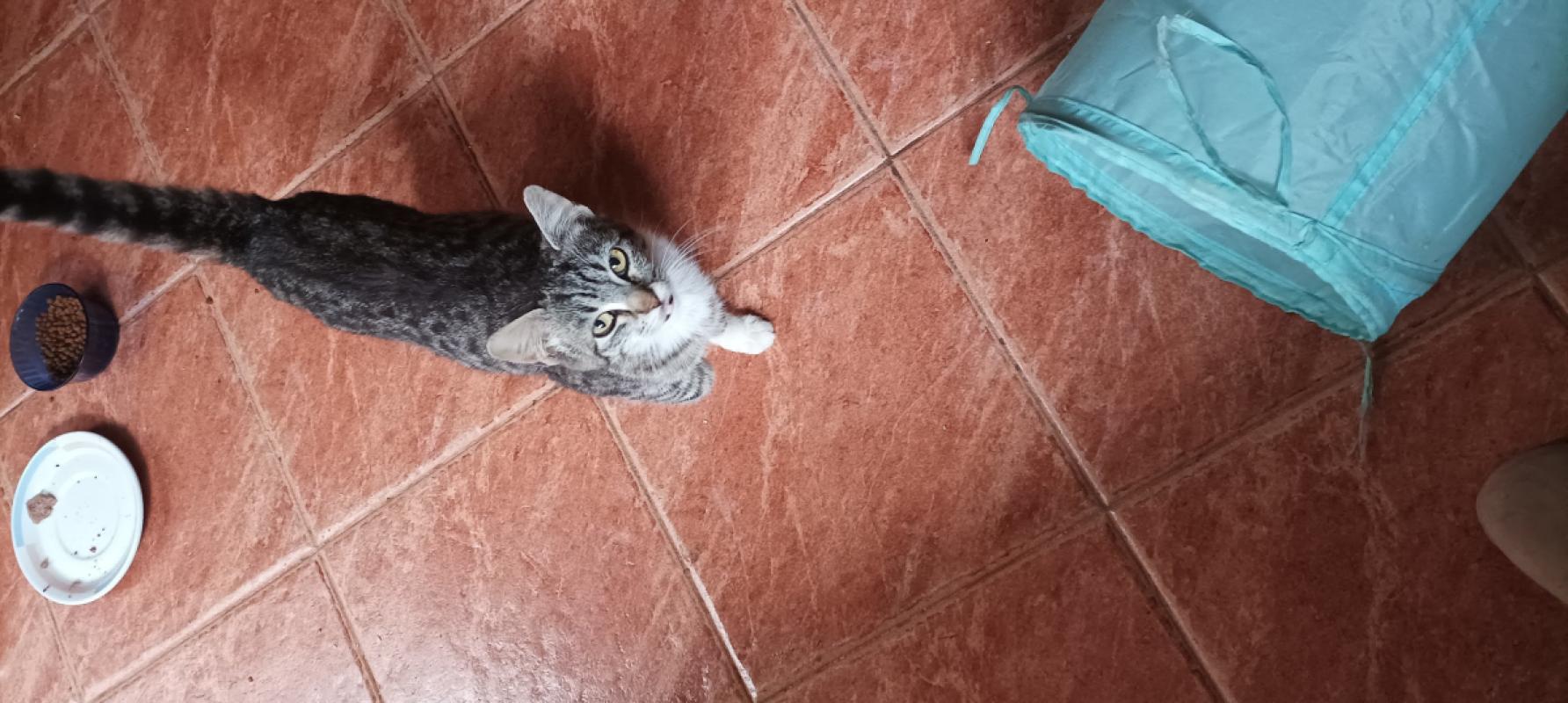 Nilo