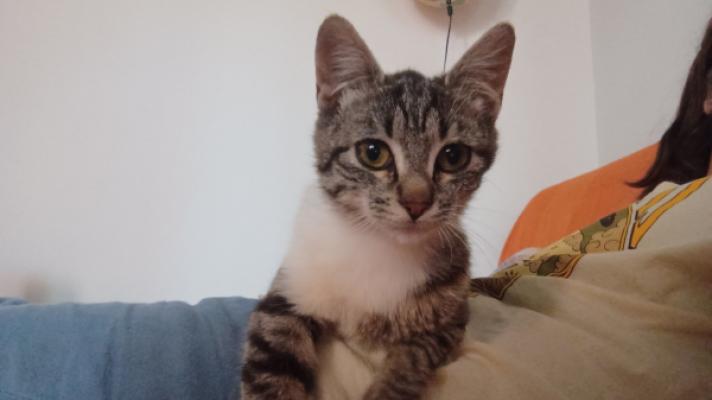 Nilo