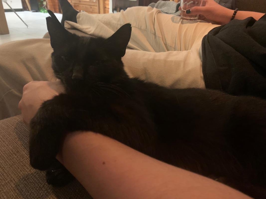 Tango