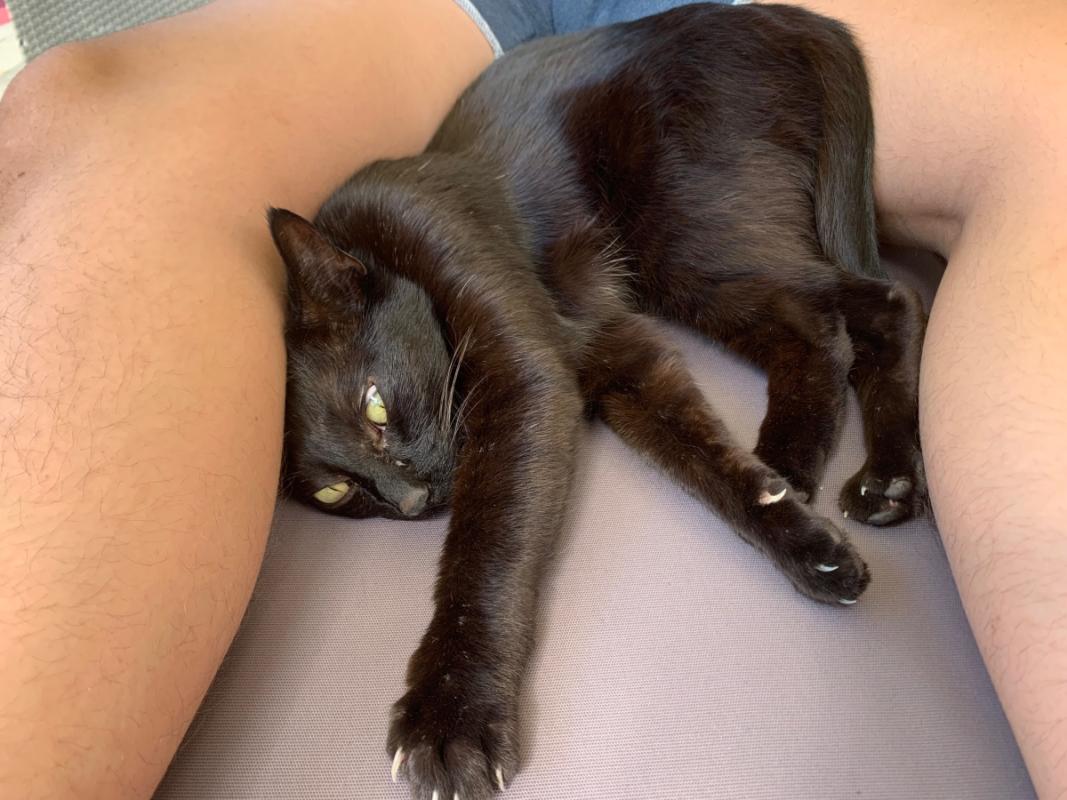 Tango