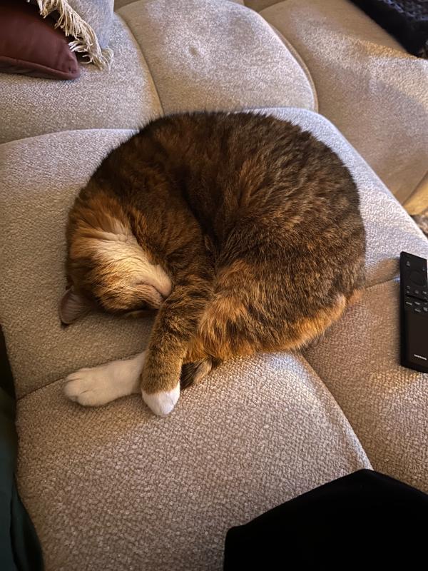 Puckie