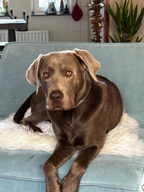 Charlie