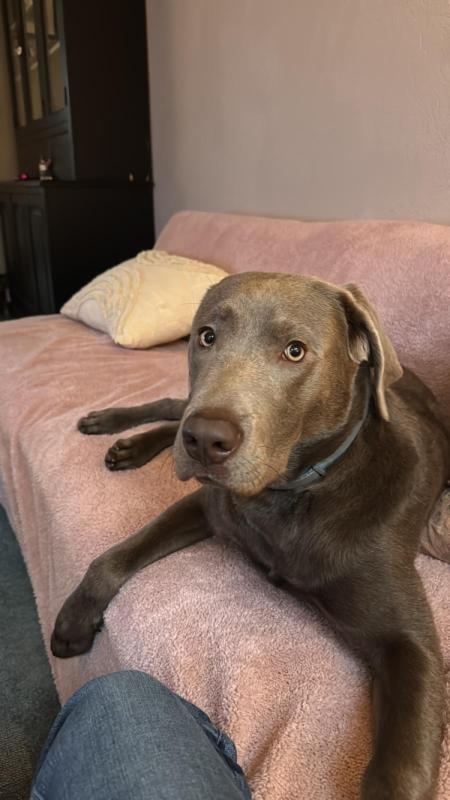 Charlie