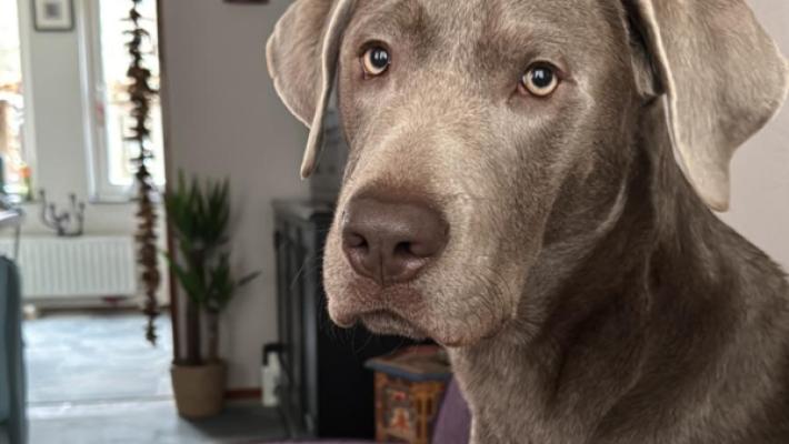 Charlie