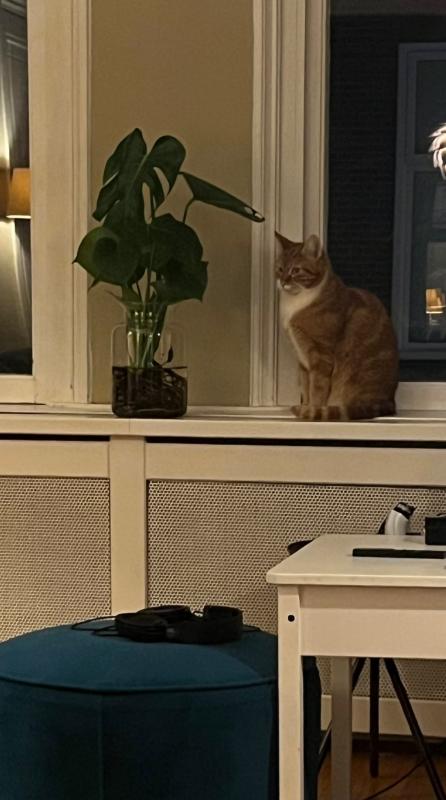 Sammy
