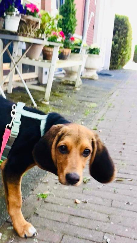 Ella