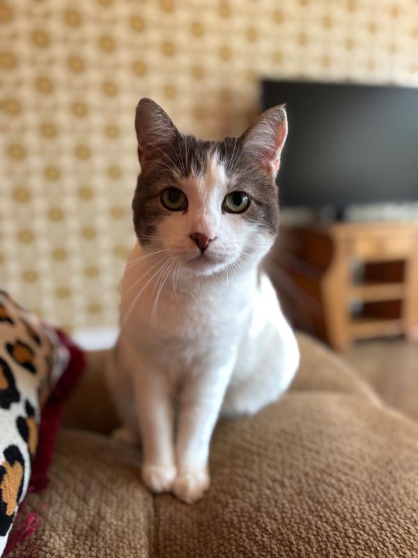 Lucy