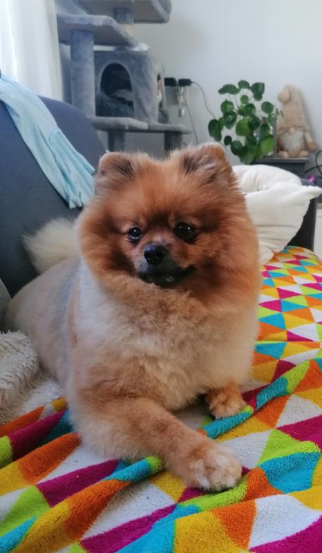 Bailey