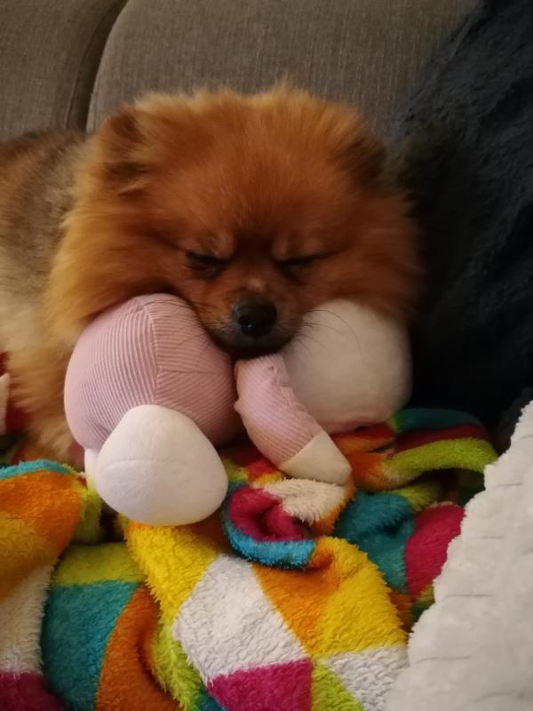 Bailey